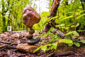 11012062_825740414172145_5803556339232214410_n