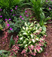 garden walk 2 6-9-15