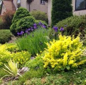 garden walk 6-9-15 3