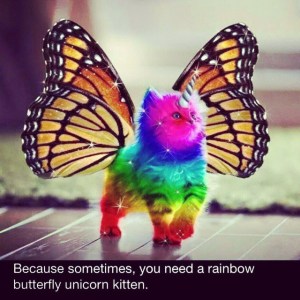 rainbow butterfly unicorn kitten1