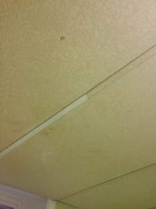 Gross ceiling clean up 2 July 2015