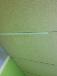 Gross ceiling clean up July 2015