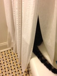 toby time out july 2015