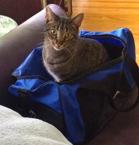 Toby all packed Aug 2015