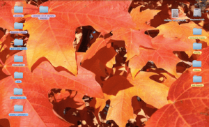 2015-11-06 09.11.07 pm