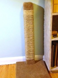 scratching post