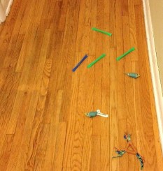 cat toys