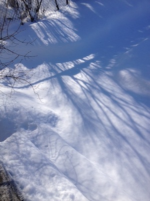 Snowy shadows jan 2016