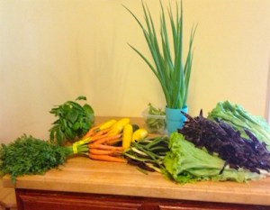 farmers market veggies