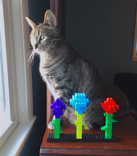 toby-with-lego-flowers-mar-2017