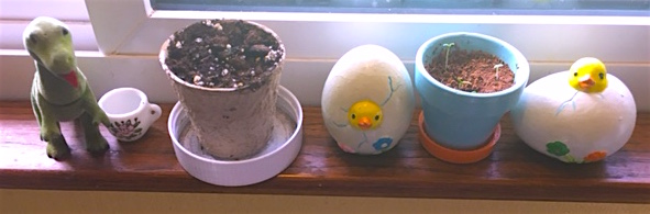 May 1 windowsill 2017