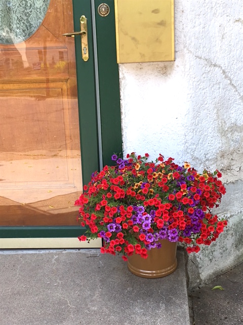 summer flowers on steps
