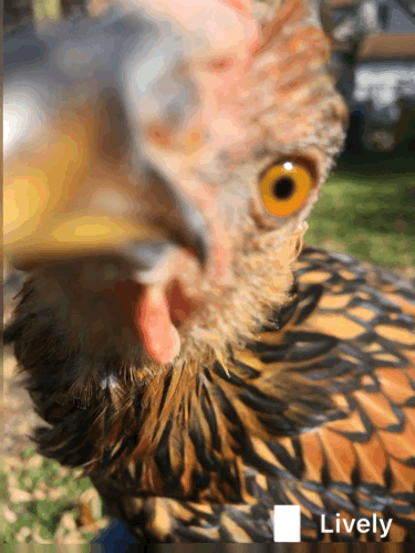 Ms. Beakman investigates