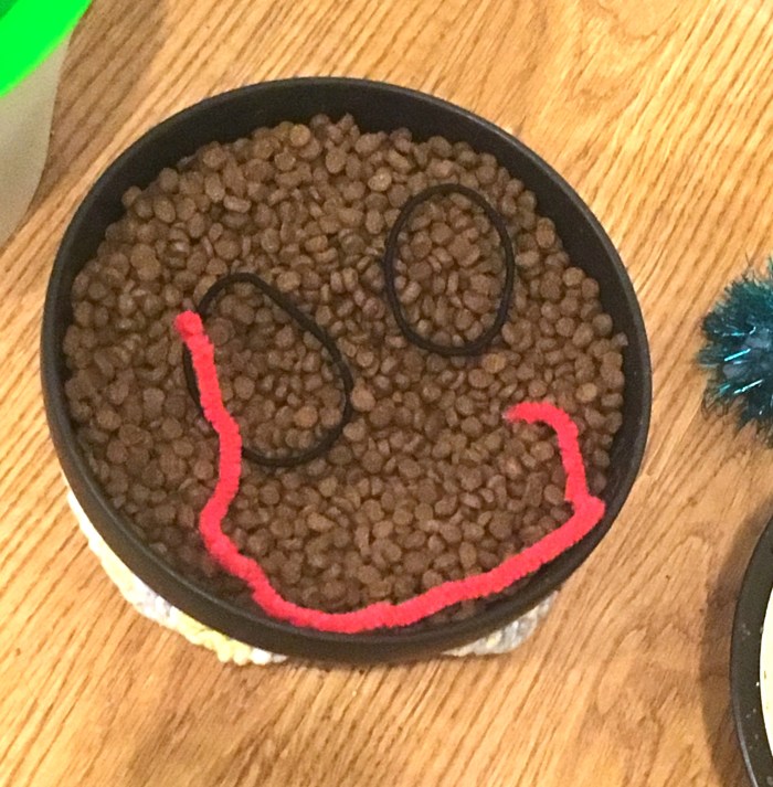 Reggie food dish smiley face