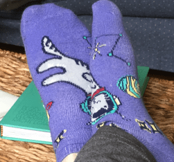 astronaut cat socks june 2018